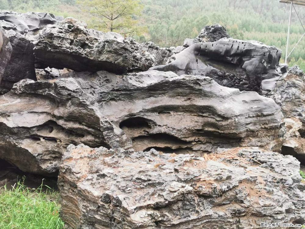 风景石、假山石大量有货,有需要的欢迎联系 - 新手上路 - 梅州生活社区 - 梅州28生活网 mz.28life.com