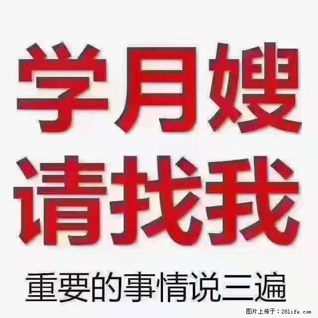 为什么要学习月嫂,育婴师? - 其他广告 - 广告专区 - 梅州分类信息 - 梅州28生活网 mz.28life.com
