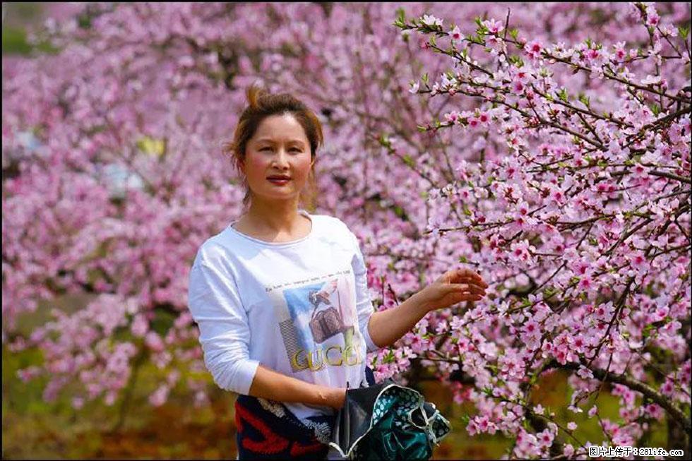 【春天,广西桂林灌阳县向您发出邀请!】官庄村有个醉美的桃花园 - 游山玩水 - 梅州生活社区 - 梅州28生活网 mz.28life.com
