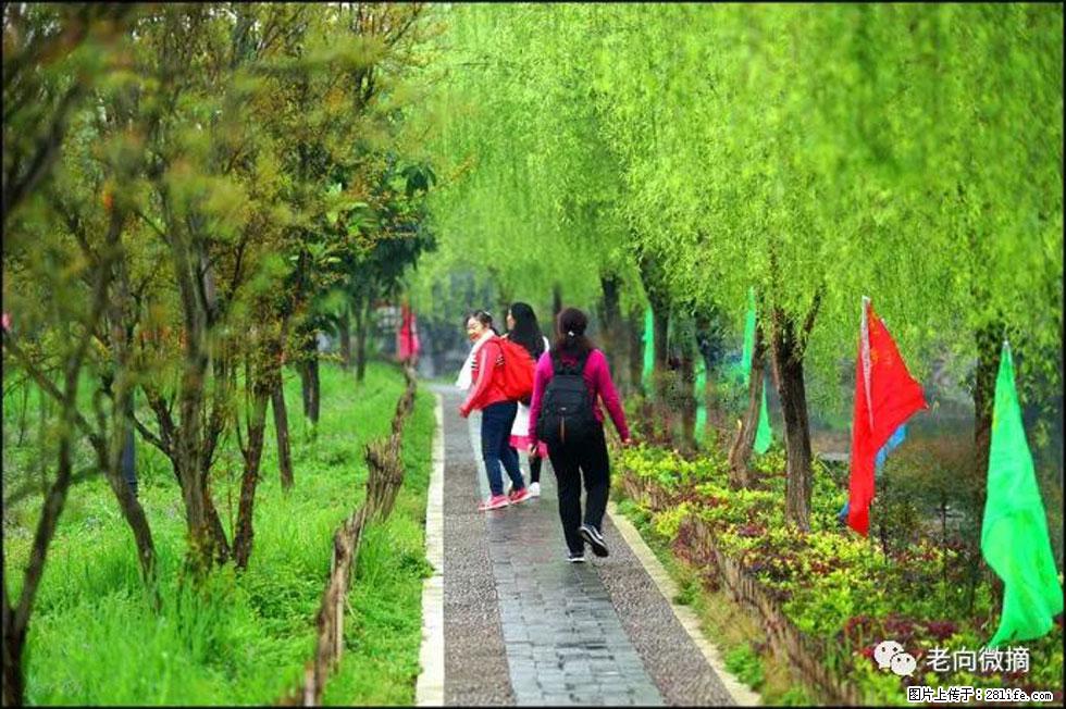 【春天,广西桂林灌阳县向您发出邀请!】江口老街又逢春 - 游山玩水 - 梅州生活社区 - 梅州28生活网 mz.28life.com