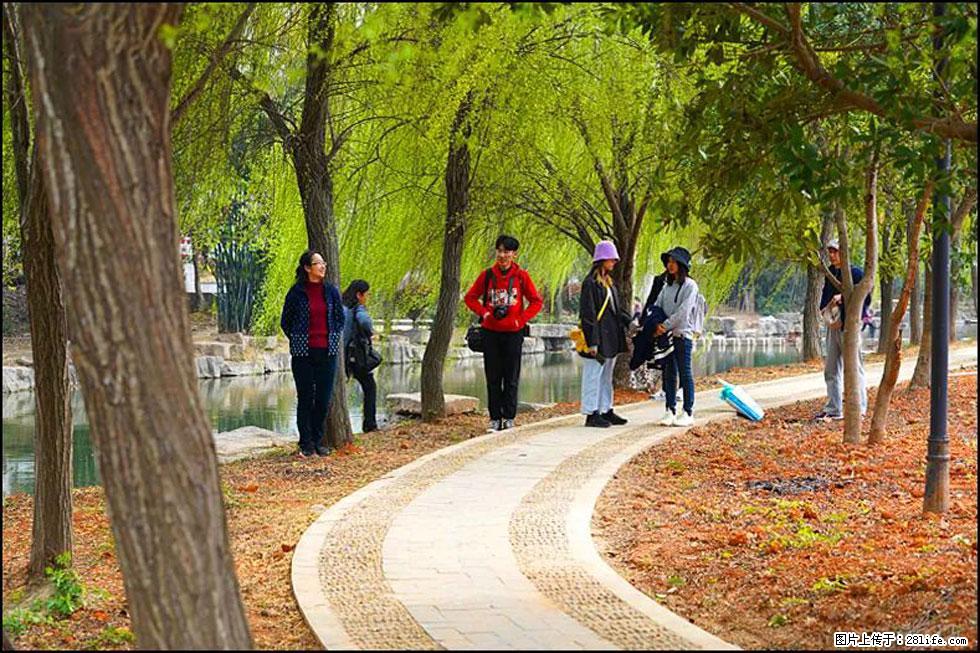 【春天,广西桂林灌阳县向您发出邀请!】江口老街又逢春 - 游山玩水 - 梅州生活社区 - 梅州28生活网 mz.28life.com
