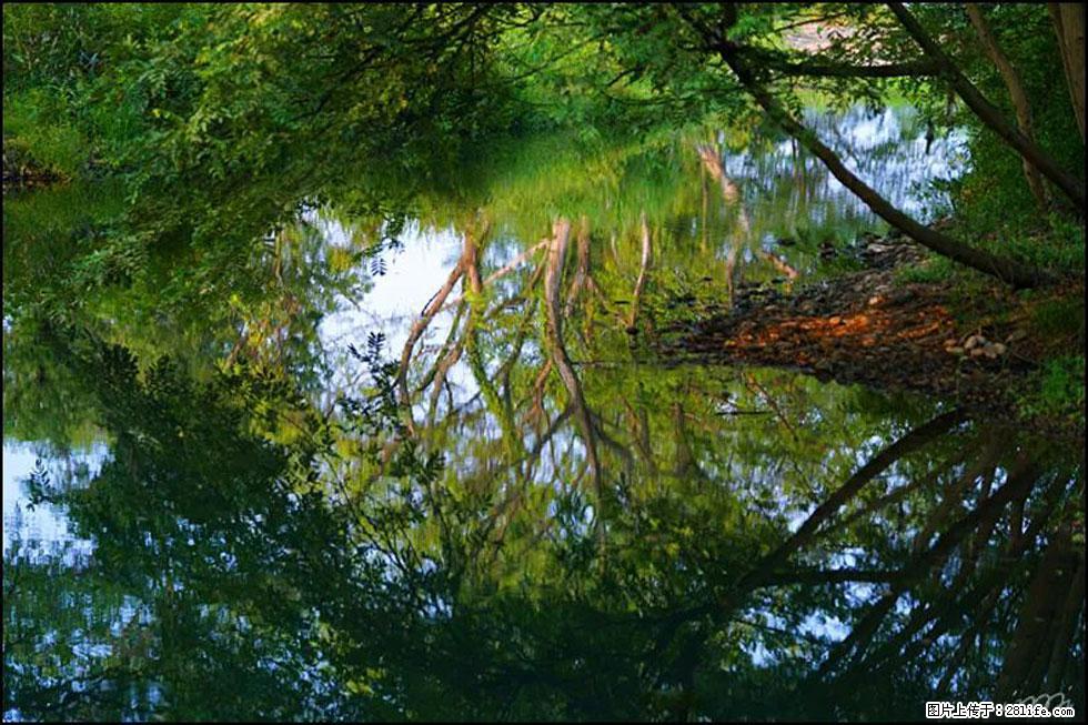 【春天,广西桂林灌阳县向您发出邀请!】熊家寨湿地公园 - 游山玩水 - 梅州生活社区 - 梅州28生活网 mz.28life.com