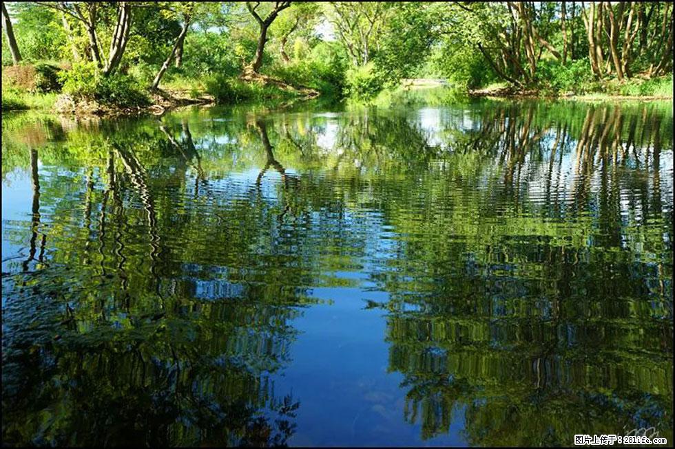 【春天,广西桂林灌阳县向您发出邀请!】熊家寨湿地公园 - 游山玩水 - 梅州生活社区 - 梅州28生活网 mz.28life.com