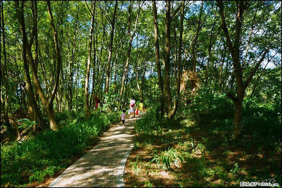 【春天,广西桂林灌阳县向您发出邀请!】熊家寨湿地公园 - 游山玩水 - 梅州生活社区 - 梅州28生活网 mz.28life.com