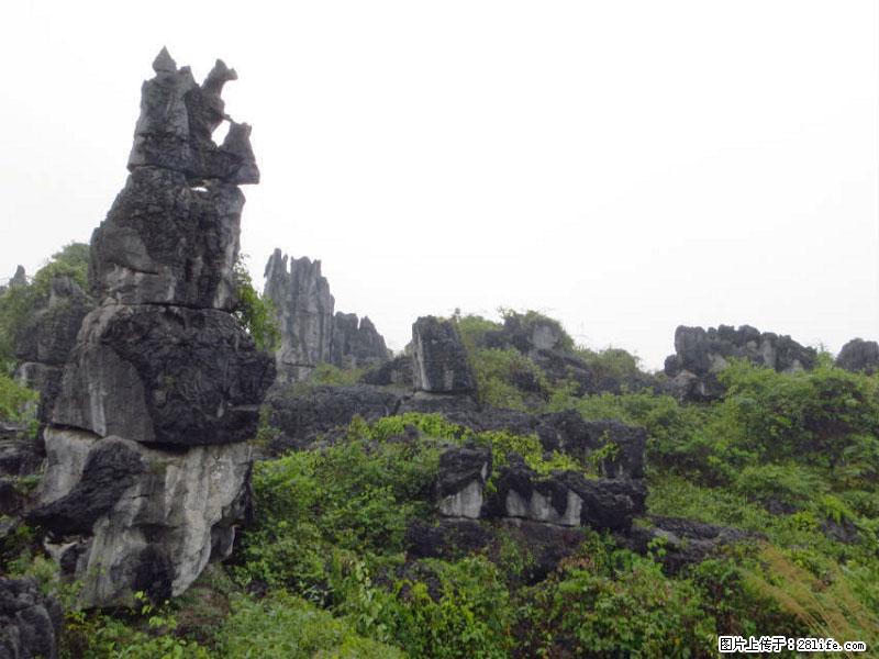 桂林旅游名城景点：灌阳文市石林 - 游山玩水 - 梅州生活社区 - 梅州28生活网 mz.28life.com