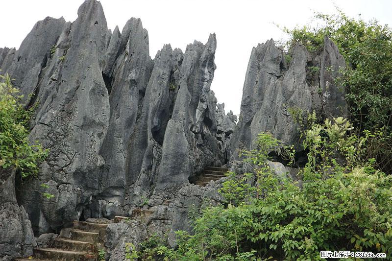 桂林旅游名城景点：灌阳文市石林 - 游山玩水 - 梅州生活社区 - 梅州28生活网 mz.28life.com