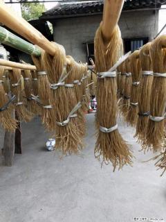 【灌阳正宗红薯粉】美女家里自己做的,干净卫生,假一赔十,价格合理,抢购电话:13737312895 - 梅州28生活网 mz.28life.com
