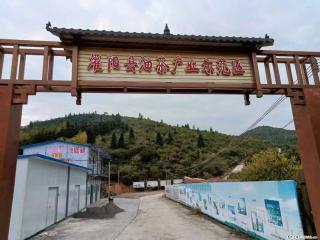 【灌阳县油茶产业示范区】一个有着充实的精神生活的人,对待身外之物自会有一种淡泊的态度 - 梅州28生活网 mz.28life.com