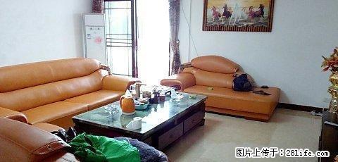 陶然居 3室2厅2卫 - 房屋出租 - 房屋租售 - 梅州分类信息 - 梅州28生活网 mz.28life.com