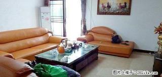 陶然居 3室2厅2卫 - 梅州28生活网 mz.28life.com