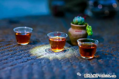 时间果百年古树2025年春红茶 - 购物交流 - 梅州生活社区 - 梅州28生活网 mz.28life.com