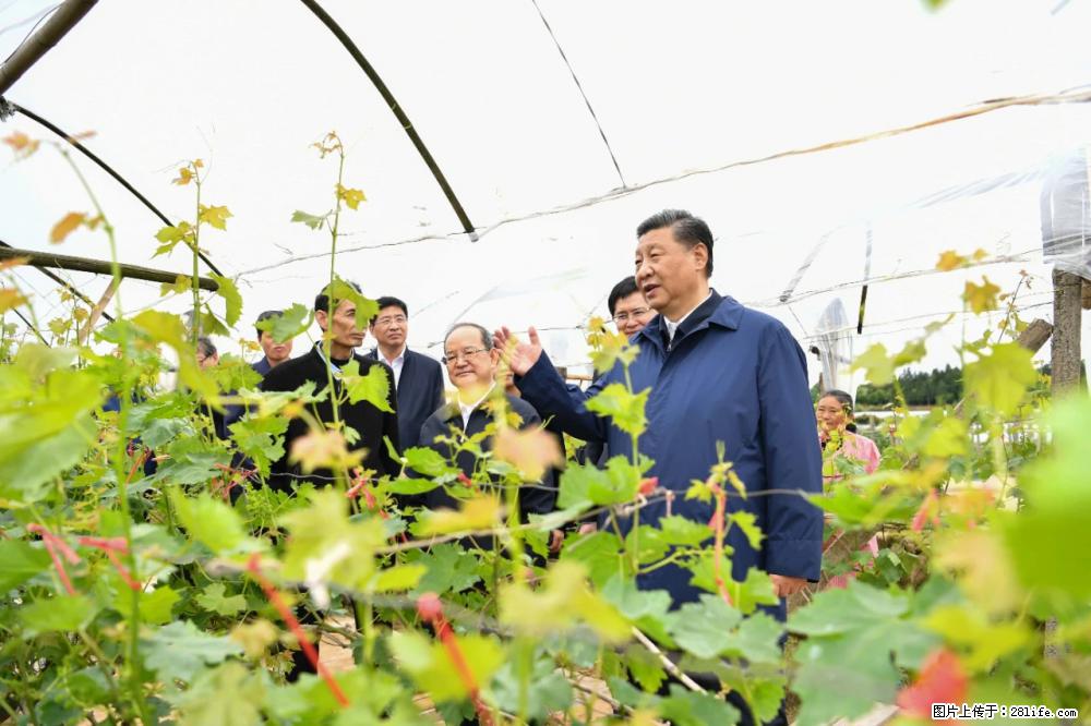 习近平赴广西考察调研 - 梅州生活资讯 - 梅州28生活网 mz.28life.com