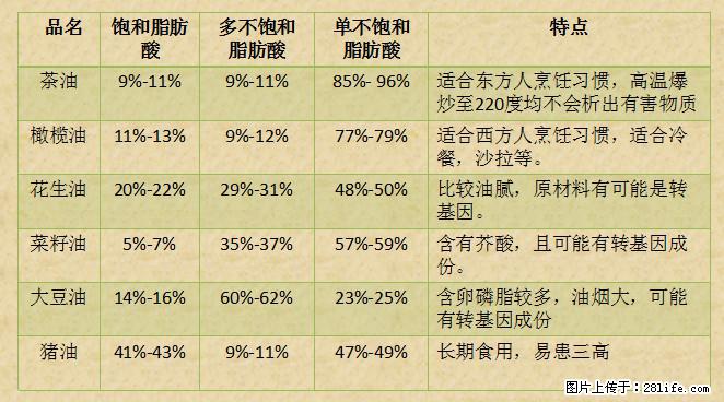 揭秘茶油的5大核心营养成分!被称为人体健康的“守护盾”! - 梅州生活资讯 - 梅州28生活网 mz.28life.com