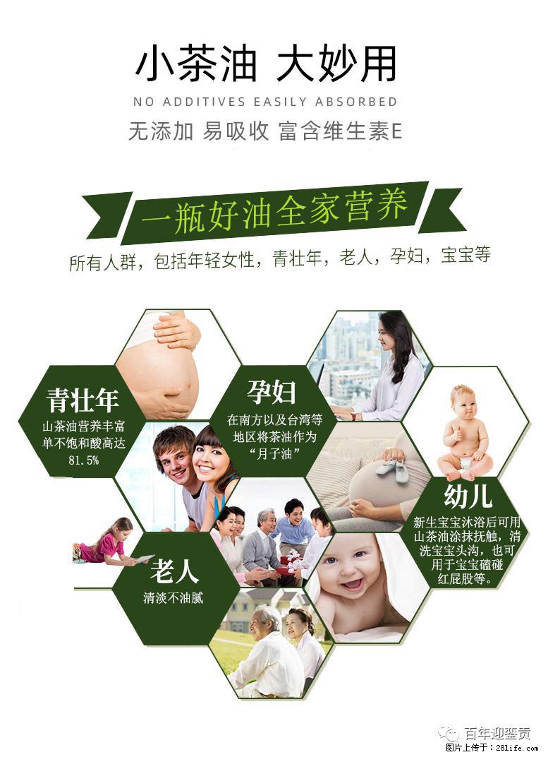 世界没有真相,只有认知,最好的食用油是中国的山茶油! - 梅州生活资讯 - 梅州28生活网 mz.28life.com