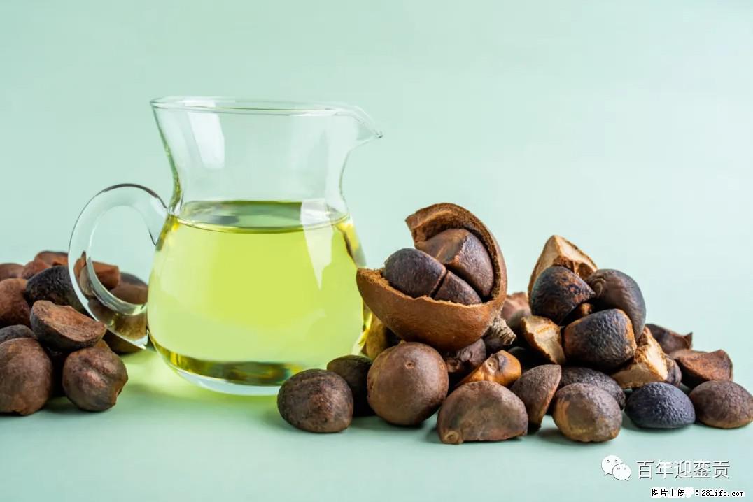 世界没有真相，只有认知，最好的食用油是中国的山茶油！ - 梅州生活资讯 - 梅州28生活网 mz.28life.com