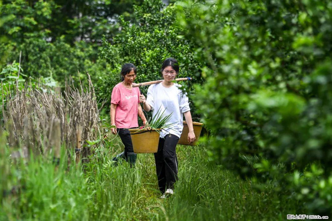 全网追的“扁担女孩”,找了一份暑假工,时薪12元 - 梅州生活资讯 - 梅州28生活网 mz.28life.com