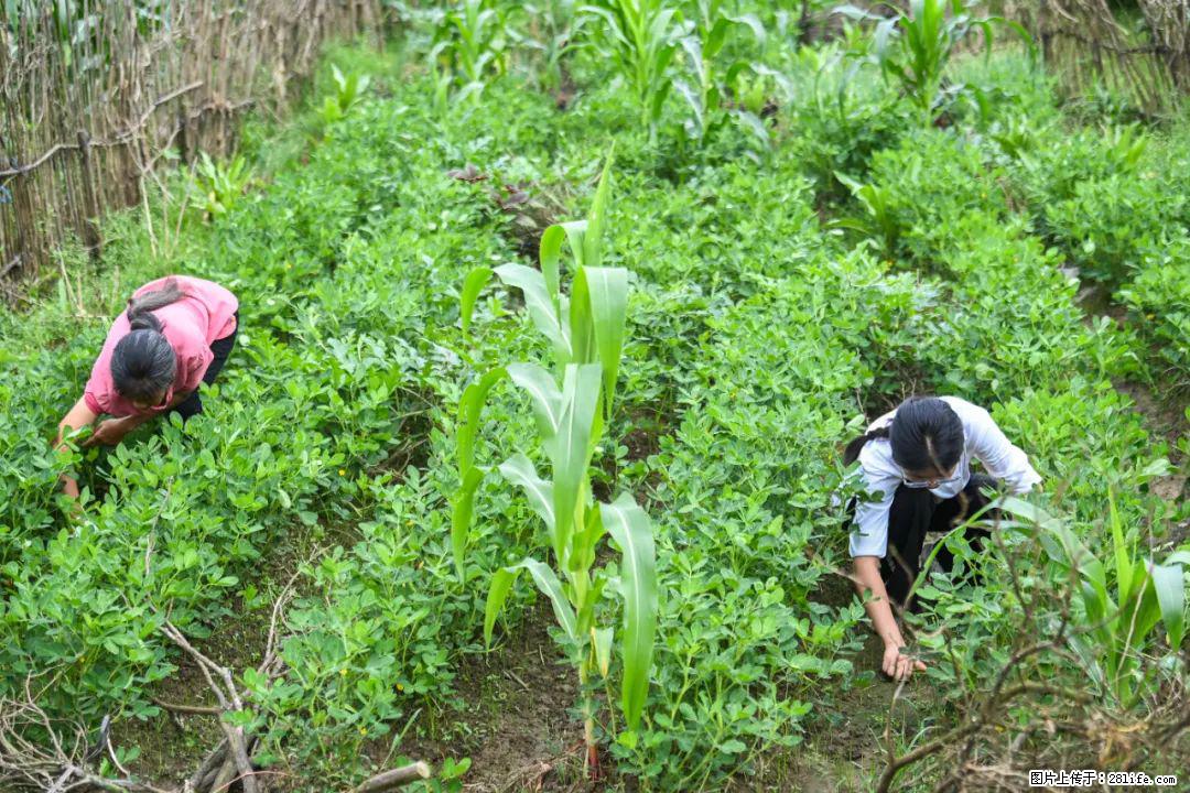 全网追的“扁担女孩”,找了一份暑假工,时薪12元 - 梅州生活资讯 - 梅州28生活网 mz.28life.com