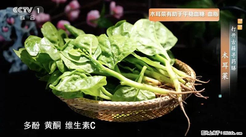 比牛奶补钙还厉害!凉血解毒、稳血糖...这菜冬天必吃,很多人却当草 - 梅州生活资讯 - 梅州28生活网 mz.28life.com