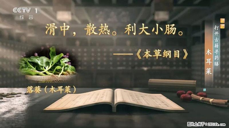 比牛奶补钙还厉害!凉血解毒、稳血糖...这菜冬天必吃,很多人却当草 - 梅州生活资讯 - 梅州28生活网 mz.28life.com