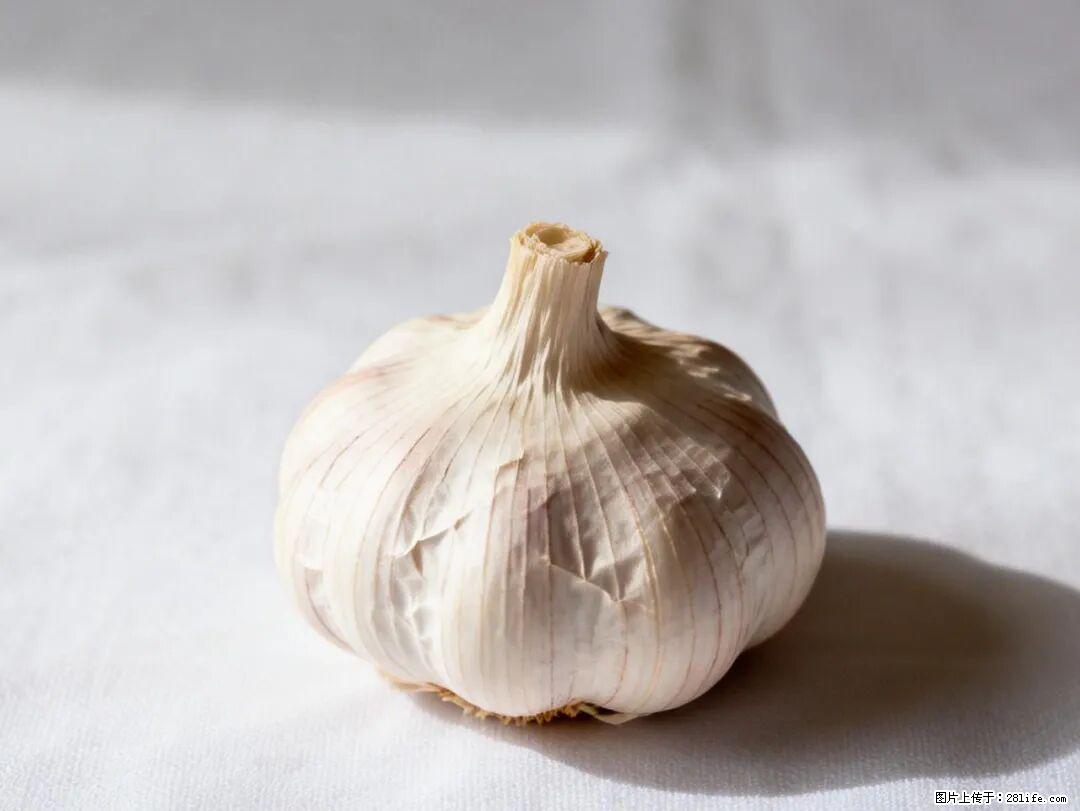 关于大蒜，除了“天然抗生素”，这4个谣言更该警惕! - 梅州生活资讯 - 梅州28生活网 mz.28life.com