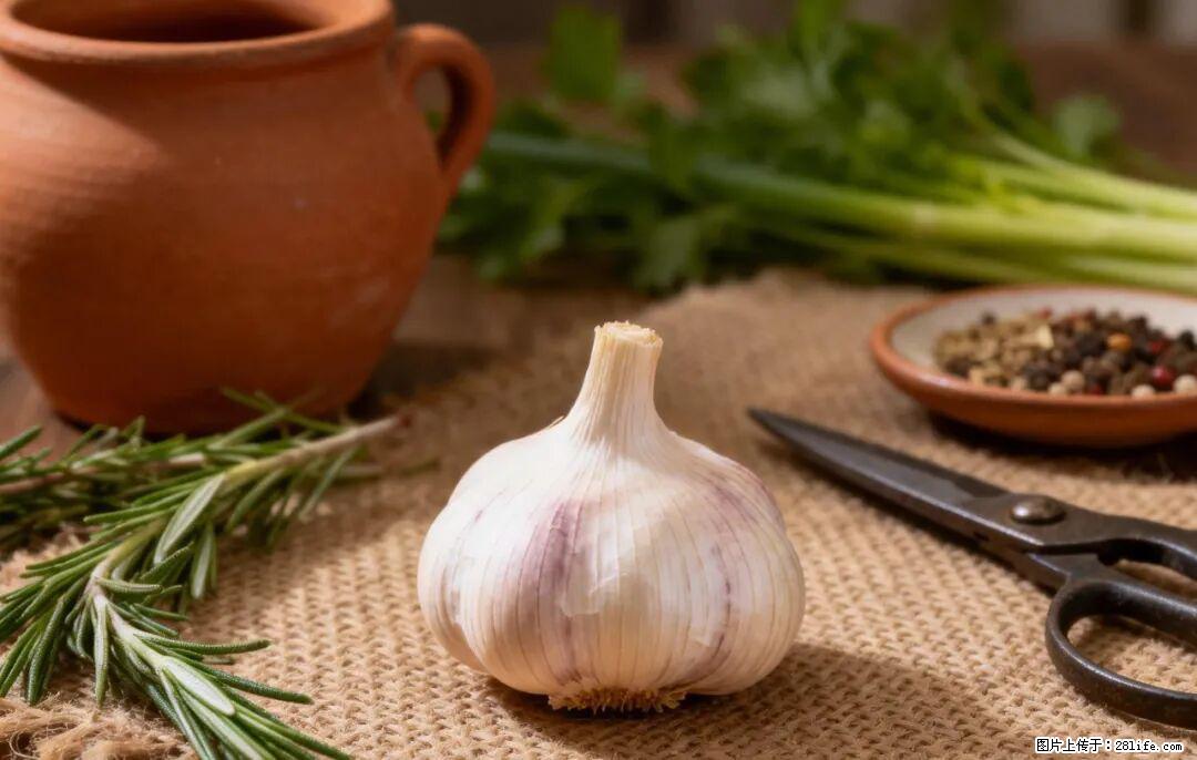 关于大蒜，除了“天然抗生素”，这4个谣言更该警惕! - 梅州生活资讯 - 梅州28生活网 mz.28life.com